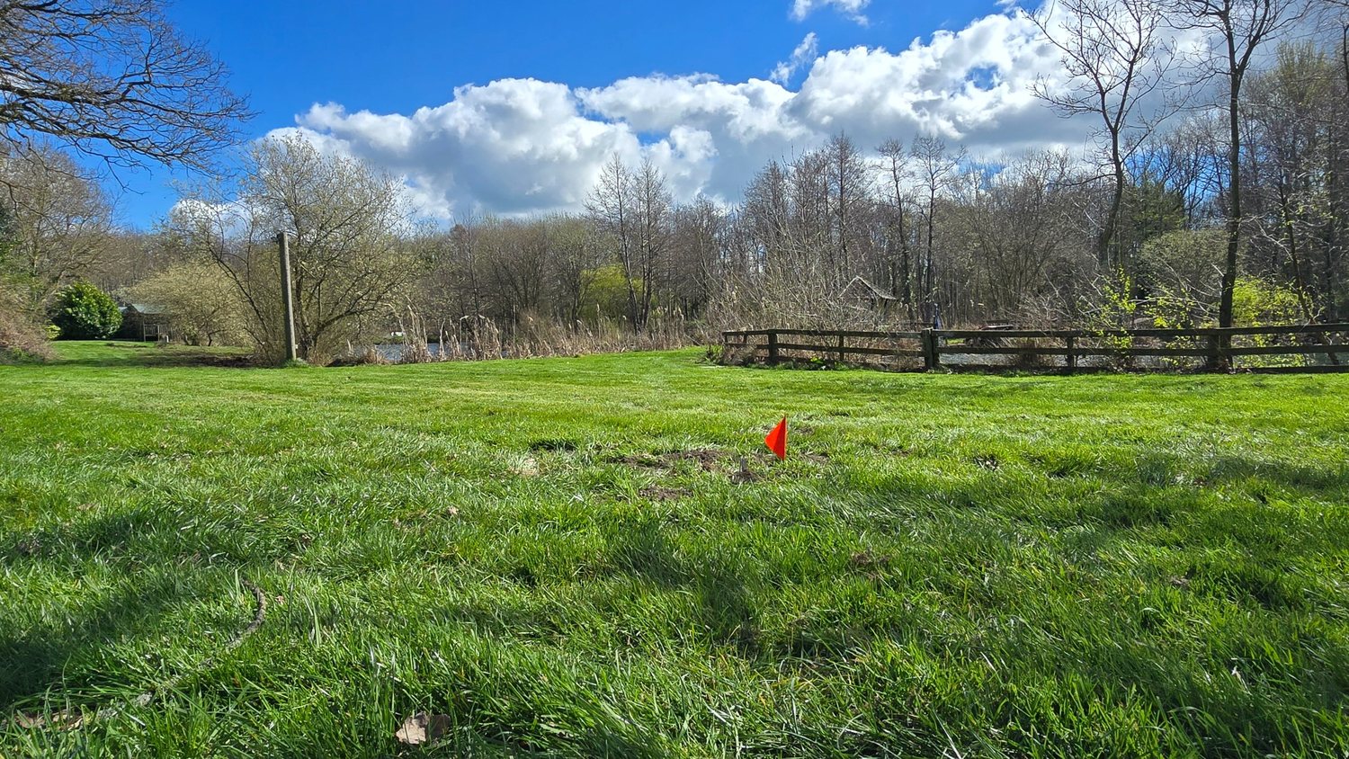 Real mole control fieldwork on a lawn